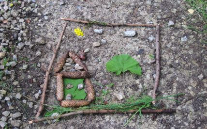 Waldbild