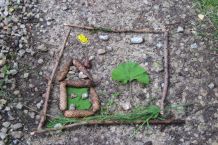 Waldbild