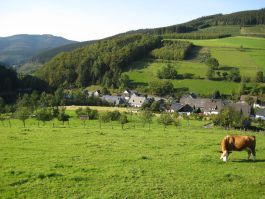 Blick auf Milchenbach