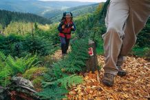 Wandern über den Rothaarsteig